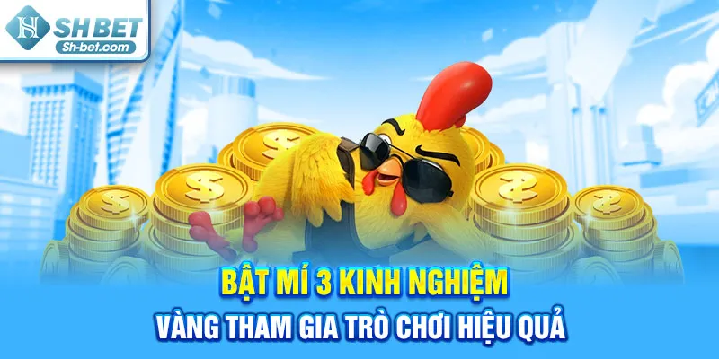 Kinh nghiệm càng tham gia đá gà hiệu quả